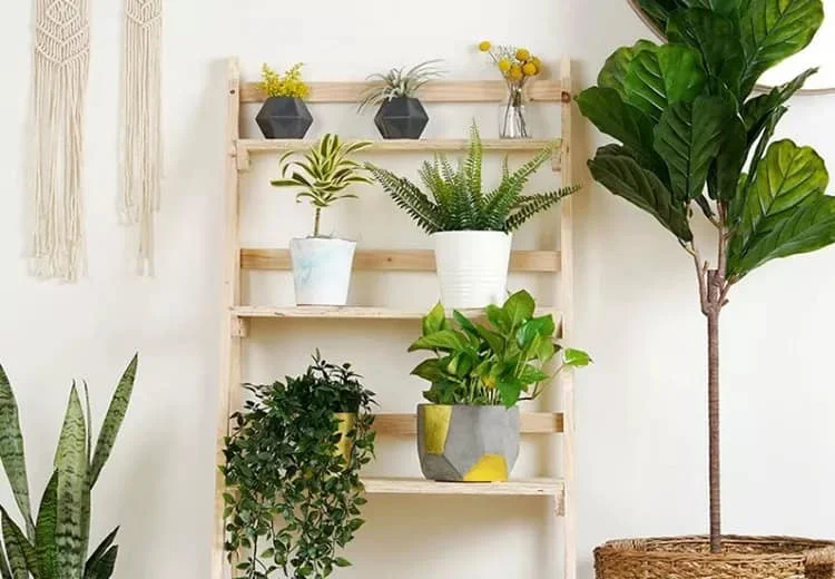 10. DIY Staircase Plant Stand