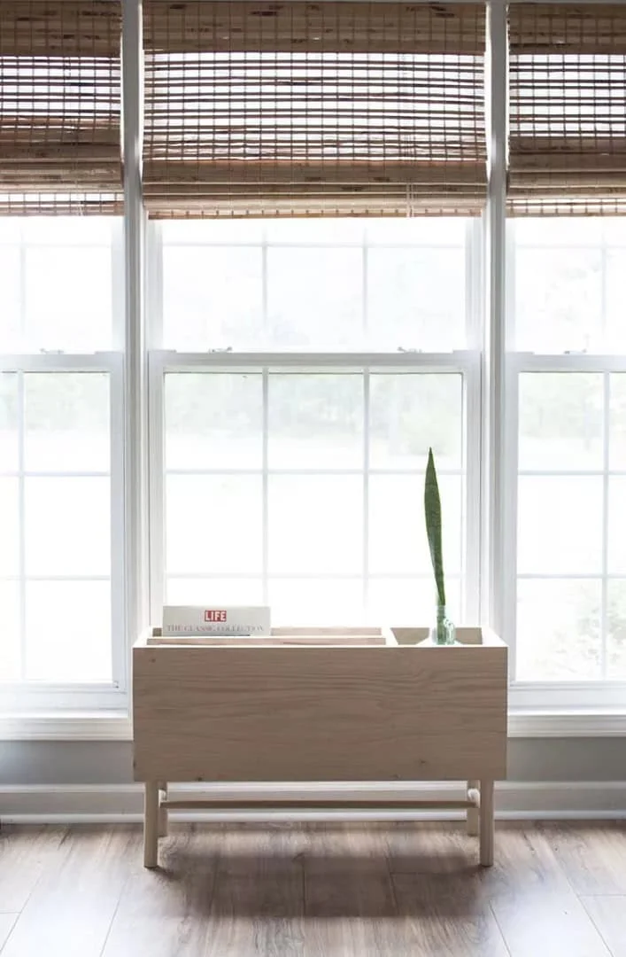 13. Modern DIY Plant and Magazine Stand
