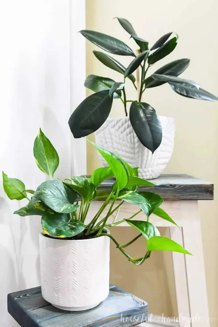 11. Nested Plant Stands