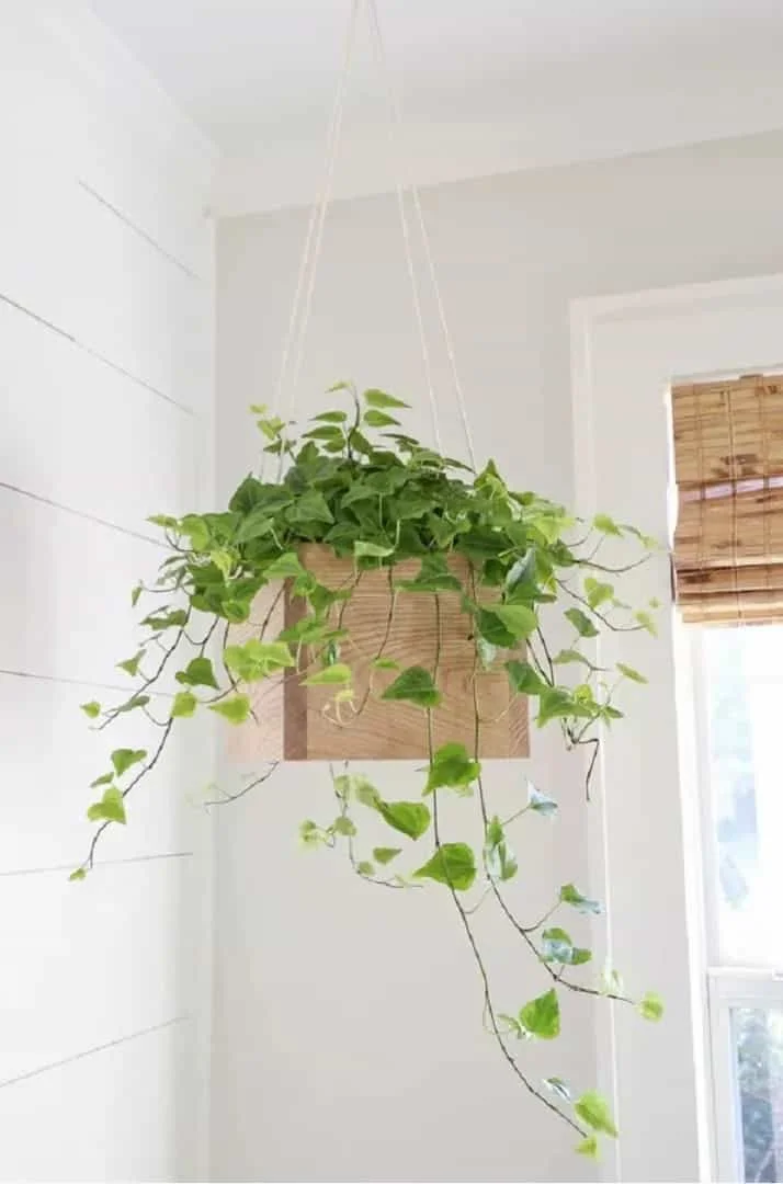 5. Simple DIY Hanging Planter