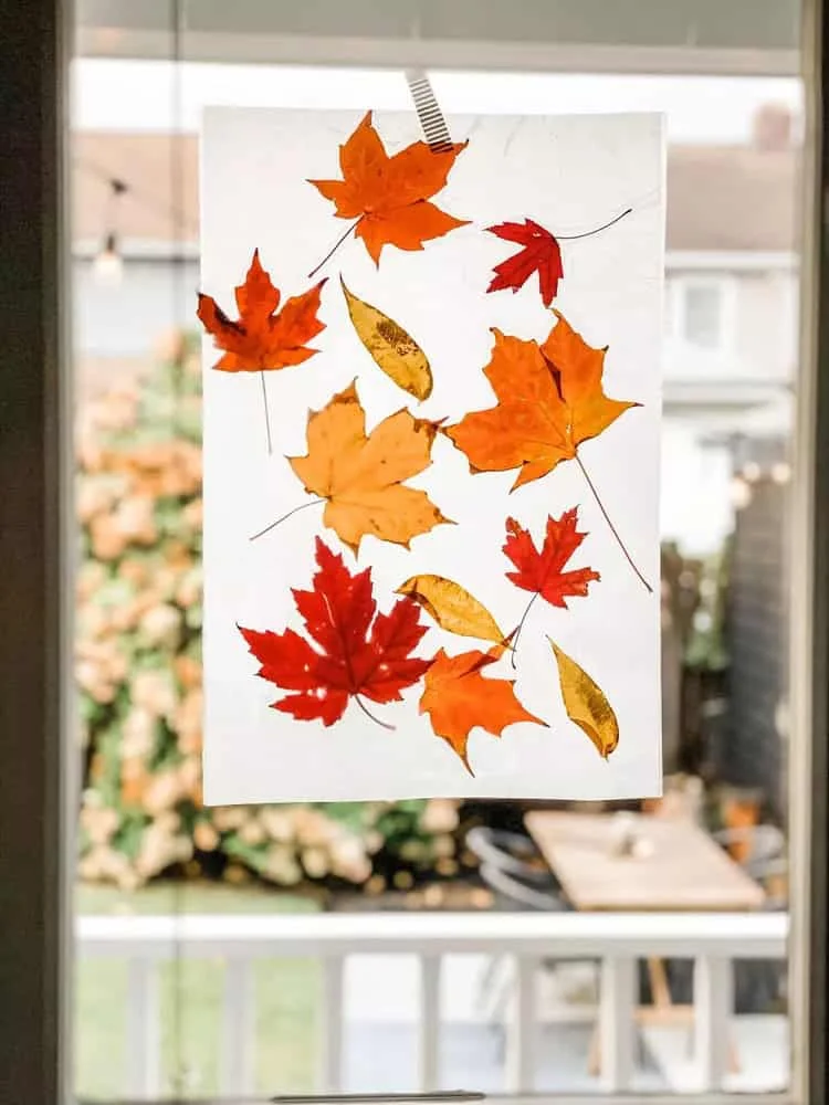 13. Листя з віскової паперу