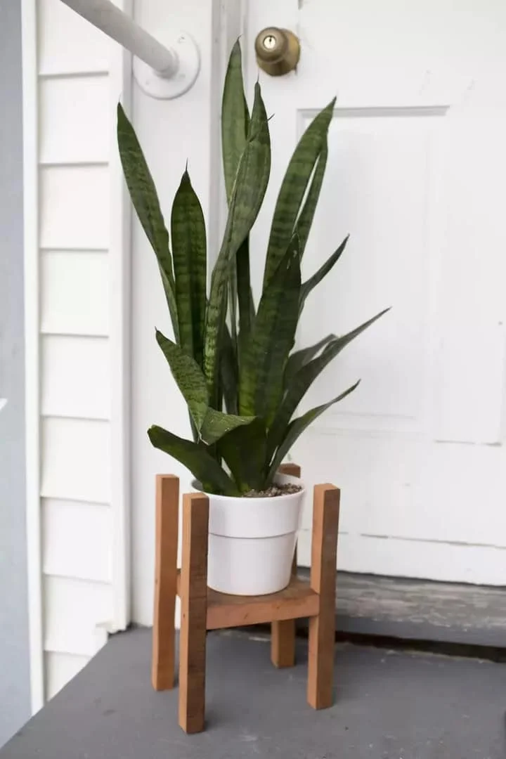 7. DIY Medieval-Style Plant Stand