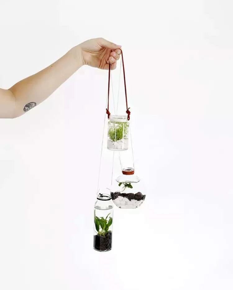 10. Jardín acuático colgante