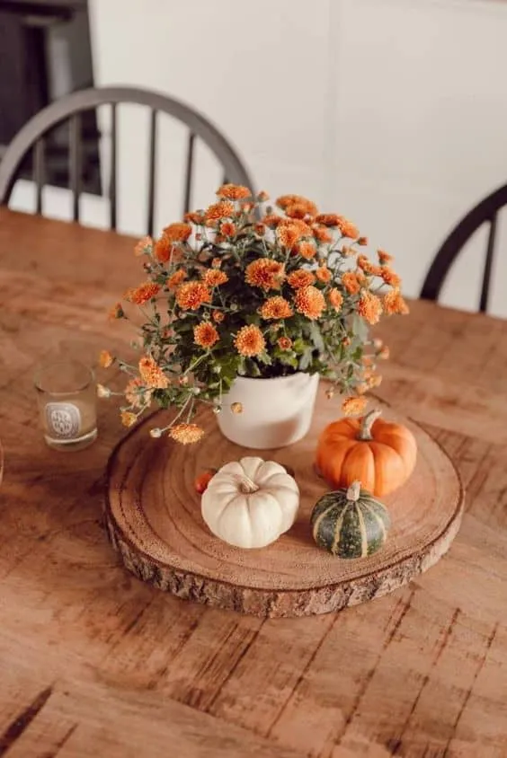 Simple Ways to Make Your Home Cozy in Autumn