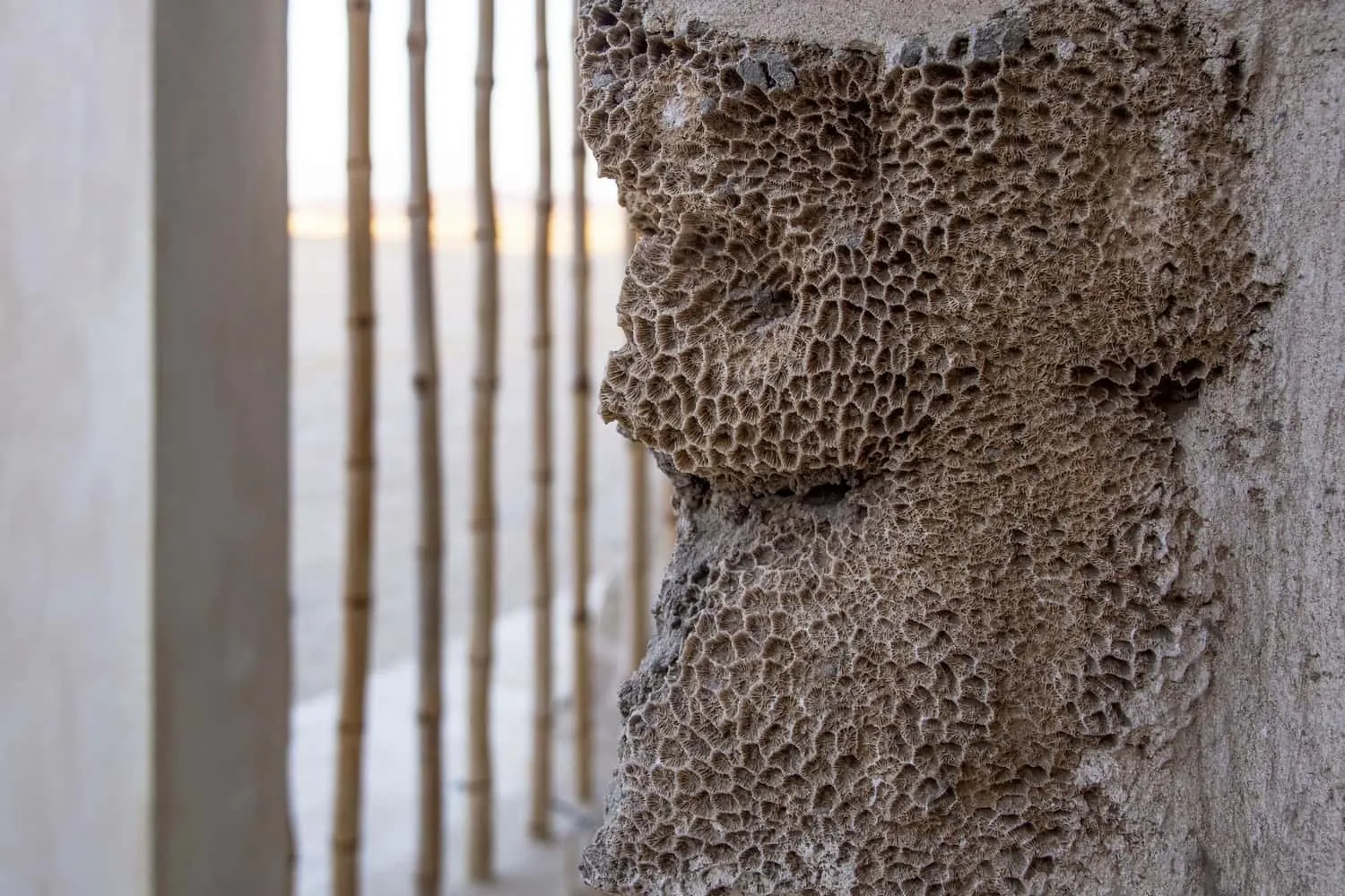 海岸边的“呼吸”之家：来自Karm Architecture Lab的可持续建筑