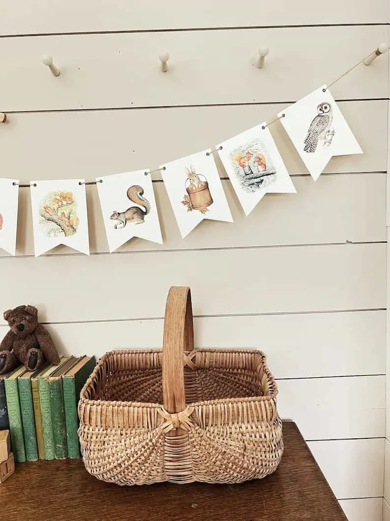 12. Conjunto otoñal de Peter Rabbit