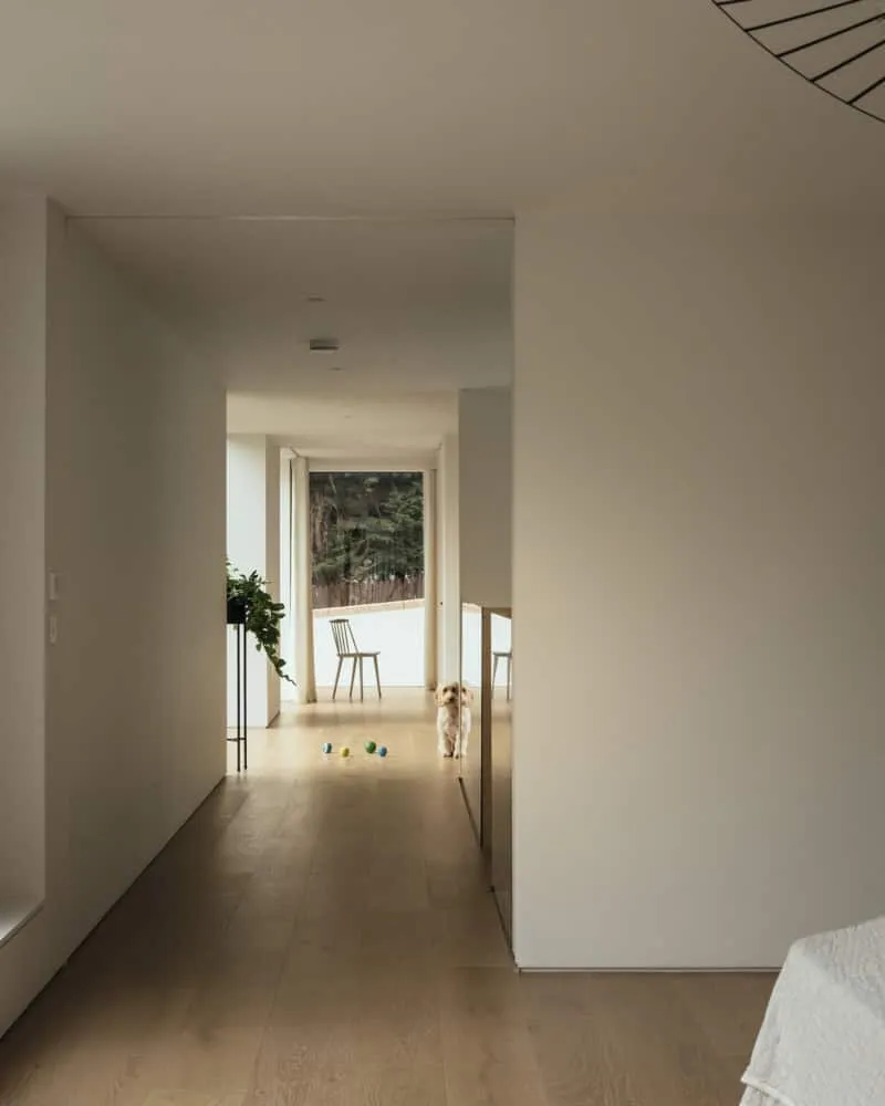 布朗与布朗建筑事务所设计的埃伯丁住宅,英国苏格兰 布朗与布朗建筑事务所设计的埃伯丁住宅,英国苏格兰