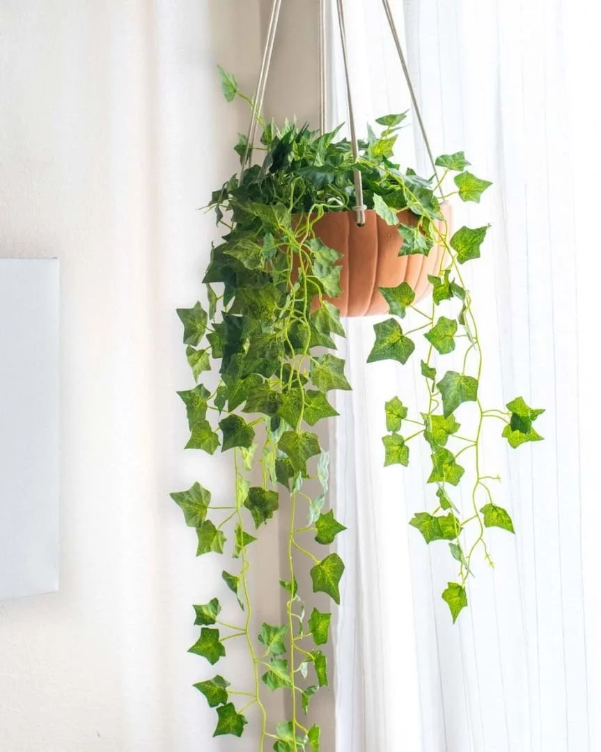 8. Maceta colgante hecha de calabaza