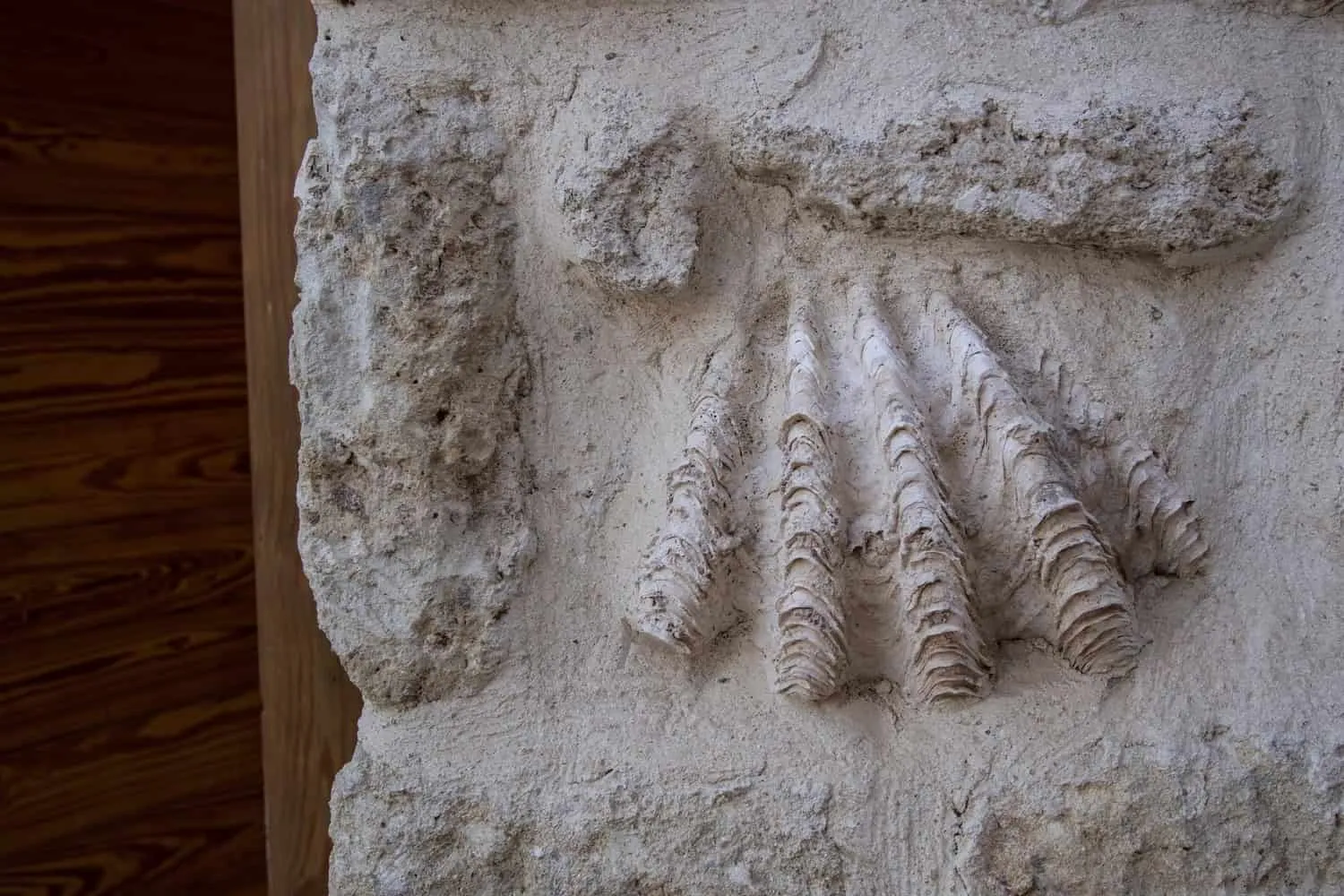 海岸边的“呼吸”之家：来自Karm Architecture Lab的可持续建筑