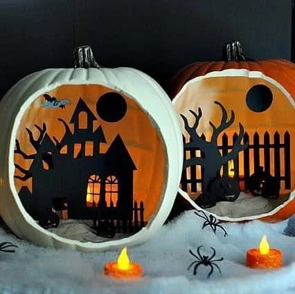 2. Calabazas con sombra