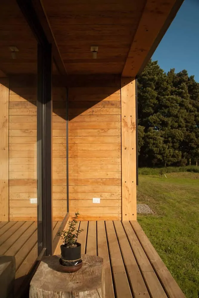 克里斯托巴尔·诺盖拉和阿巴卡+棕榈树设计师之家：紧凑型住房，全景视野