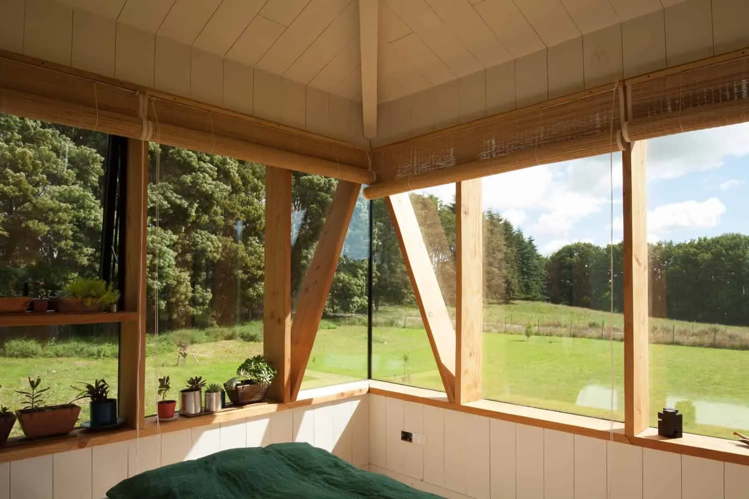 克里斯托巴尔·诺盖拉和阿巴卡+棕榈树设计师之家：紧凑型住房，全景视野