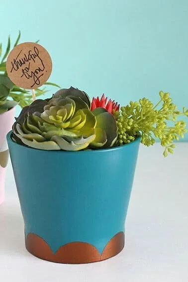 8. Maceta con mensaje \