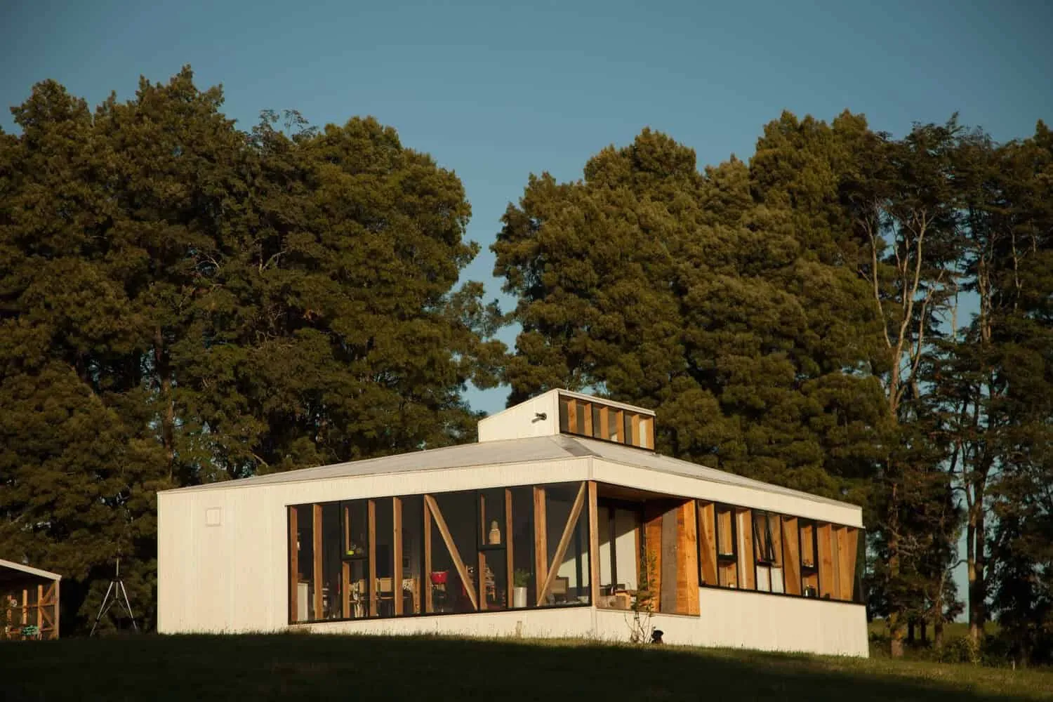 克里斯托巴尔·诺盖拉和阿巴卡+棕榈树设计师之家：紧凑型住房，全景视野