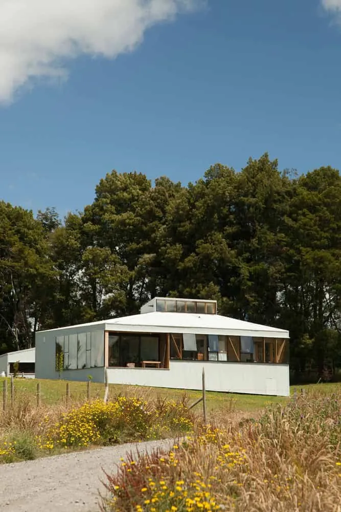 克里斯托巴尔·诺盖拉和阿巴卡+棕榈树设计师之家：紧凑型住房，全景视野