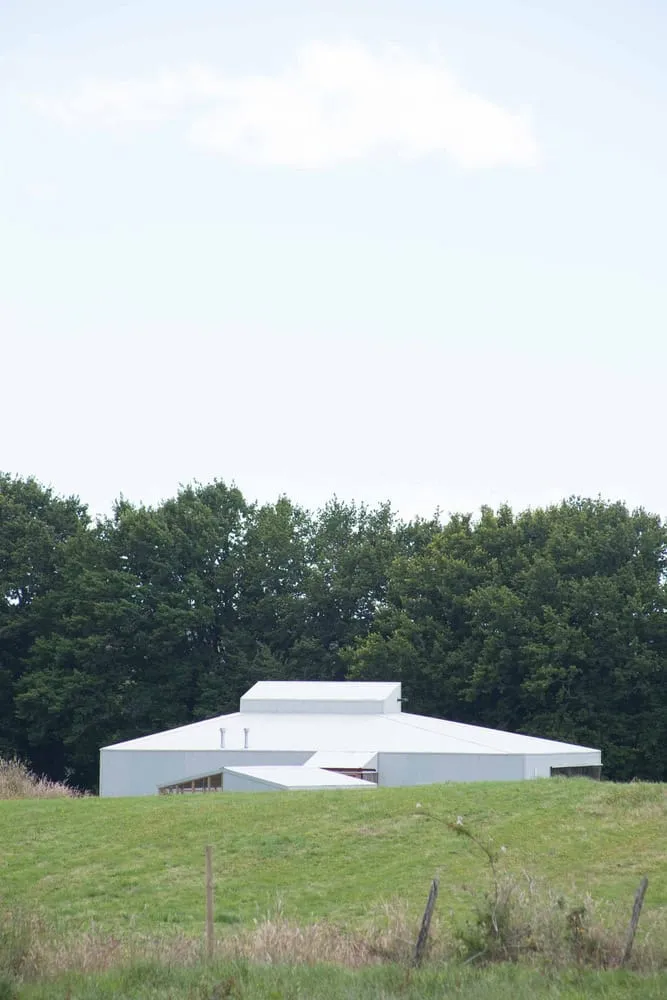 克里斯托巴尔·诺盖拉和阿巴卡+棕榈树设计师之家：紧凑型住房，全景视野