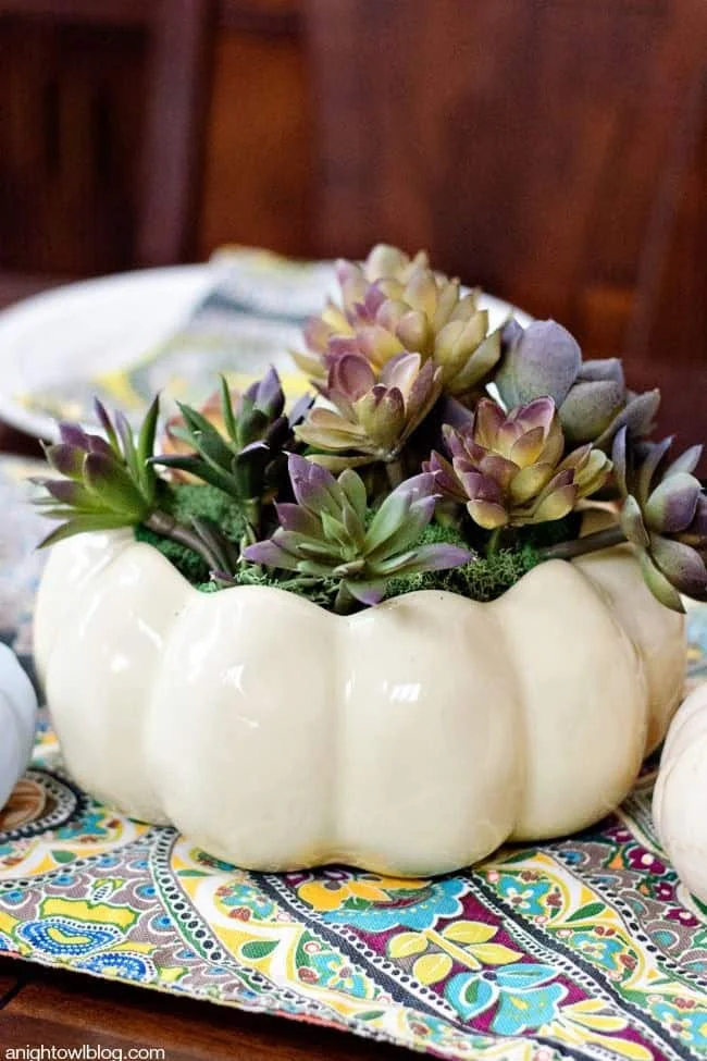 12. Composición central con suculentas