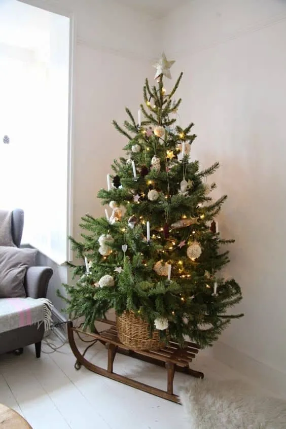 Small Christmas Trees Define Holiday Joy