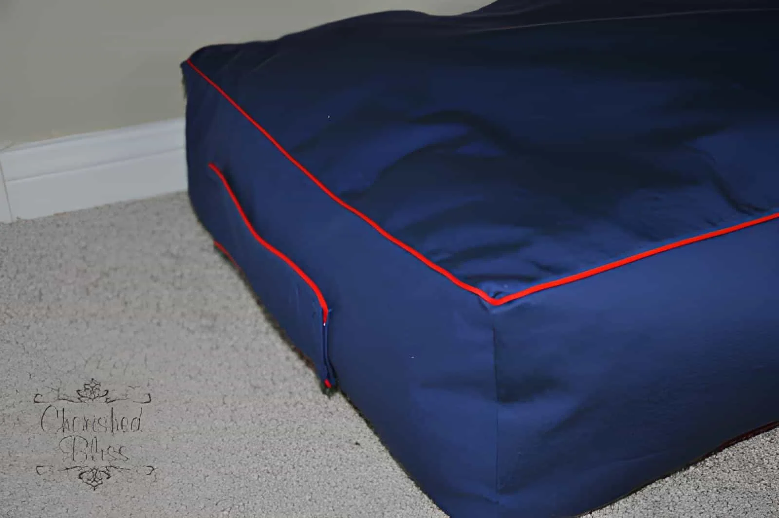 Alfombra cuadrada grande en el suelo de color azul oscuro con borde rojo brillante