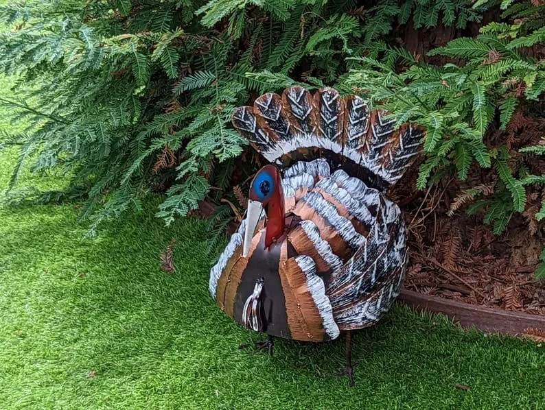 6. Arte de pavo en el jardín