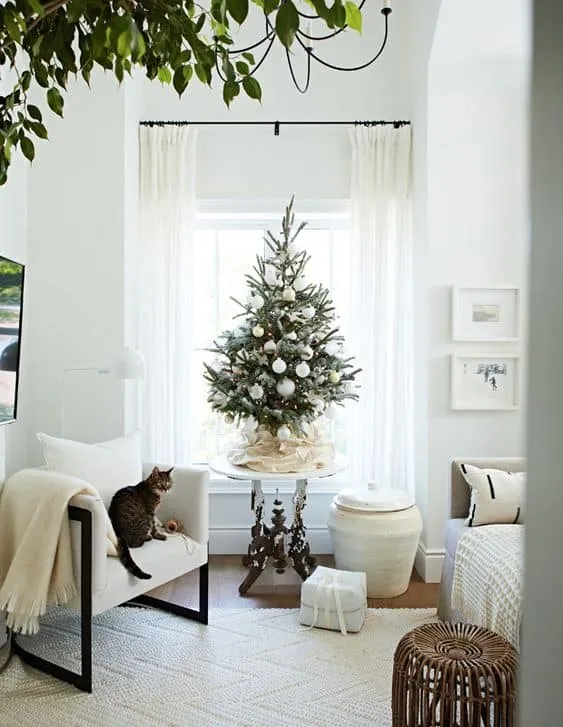 Small Christmas Trees Define Holiday Joy