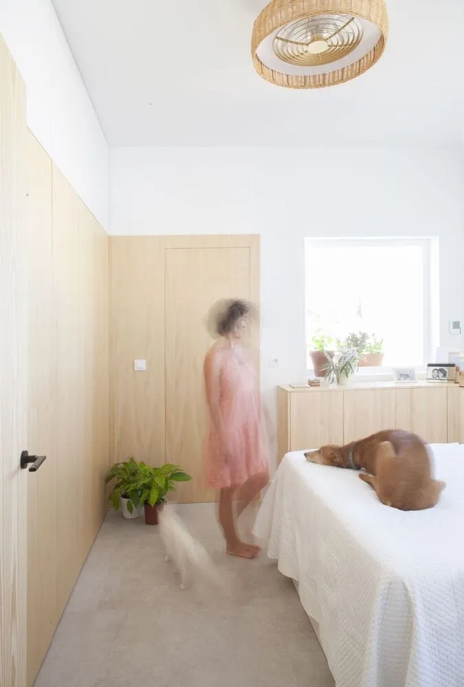 AFAB设计的猫狗家庭住宅，位于西班牙巴塞罗那