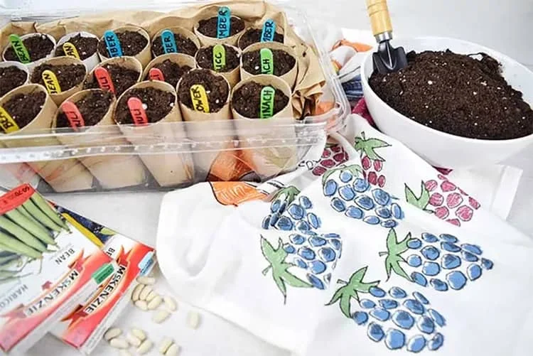 5. Mini invernadero hecho con materiales reciclados