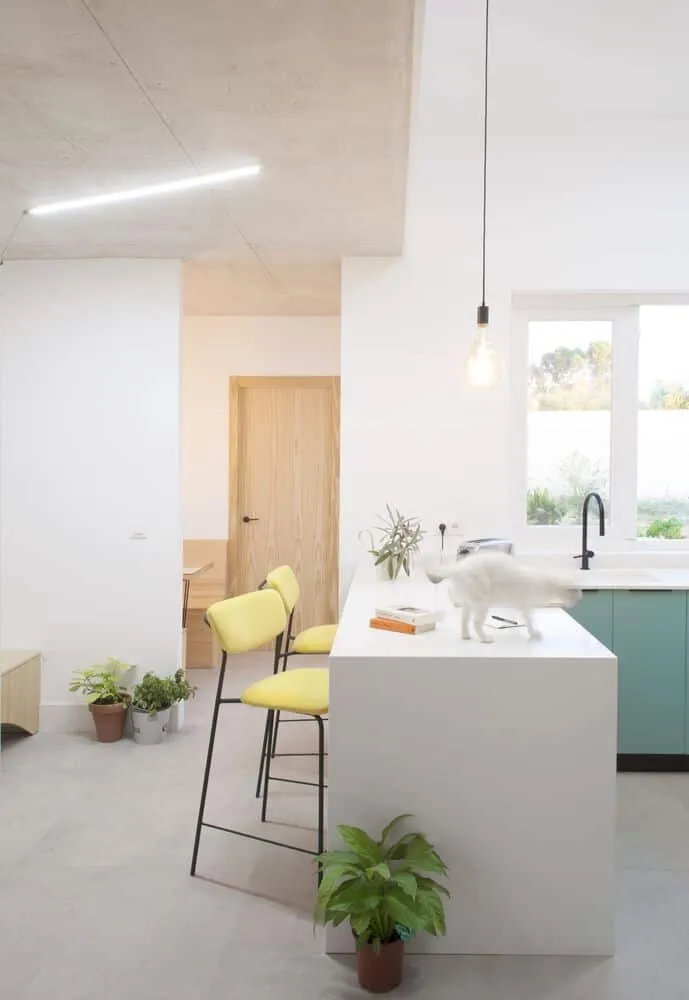 AFAB设计的猫狗家庭住宅，位于西班牙巴塞罗那