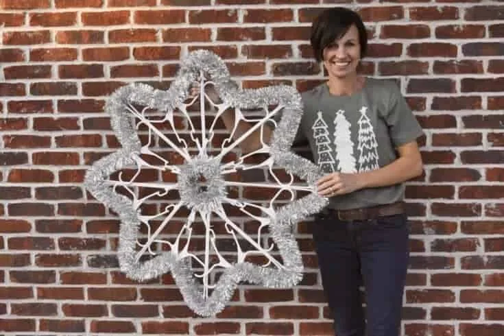 7. ESTRELLA DE SNOWFLAKE DE PLÁSTICO