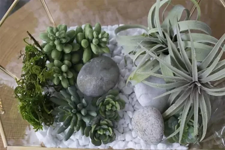 7. Mini invernadero autónomo