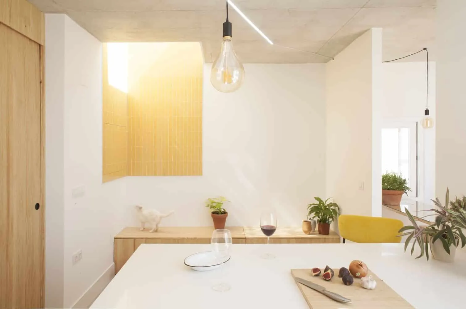 AFAB设计的猫狗家庭住宅，位于西班牙巴塞罗那