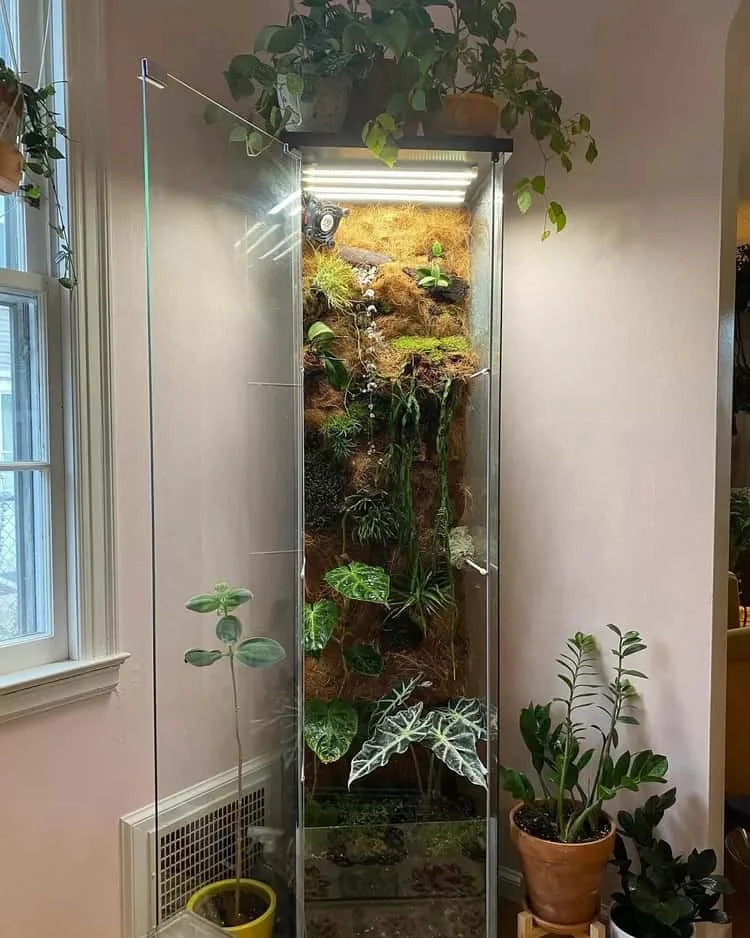 4. Invernadero de armario