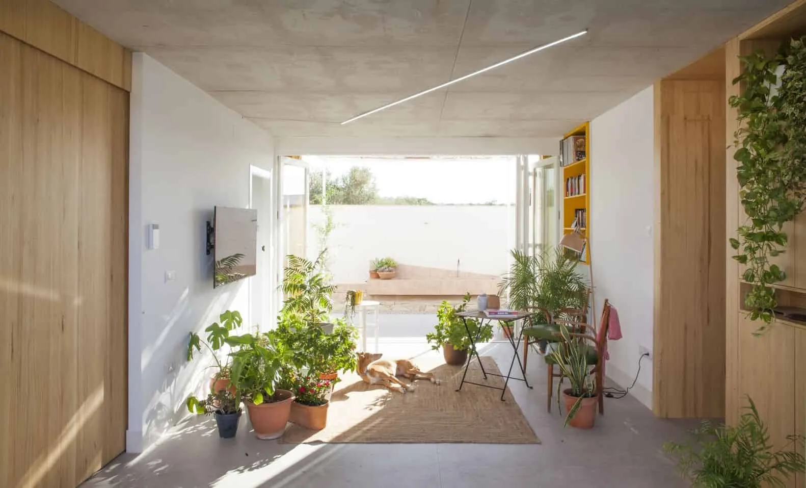 AFAB设计的猫狗家庭住宅，位于西班牙巴塞罗那