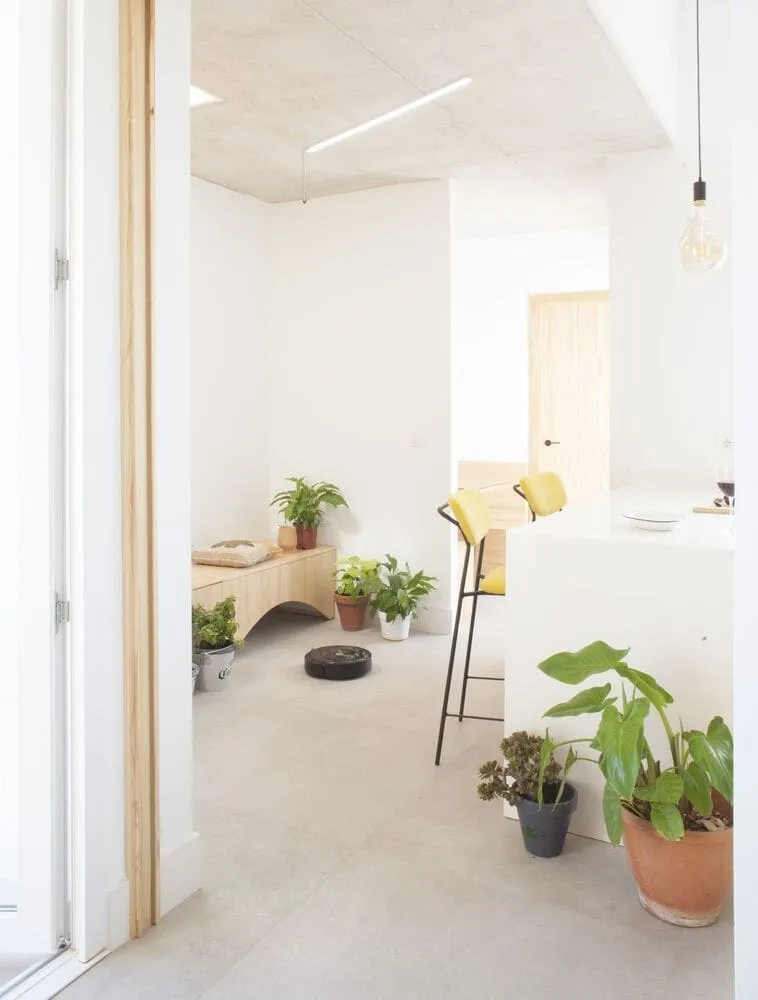 AFAB设计的猫狗家庭住宅，位于西班牙巴塞罗那