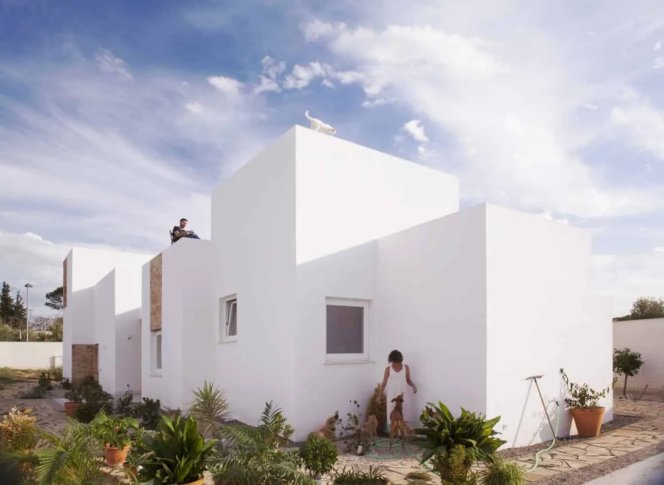 AFAB设计的猫狗家庭住宅，位于西班牙巴塞罗那