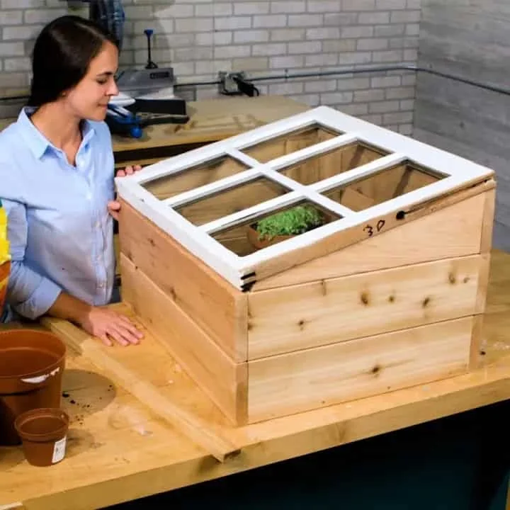 13. Mini invernadero interno hecho con una ventana vieja