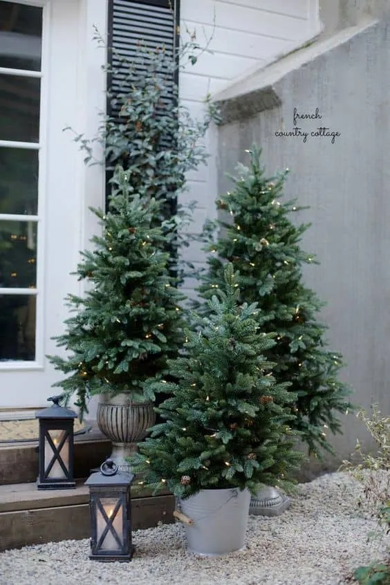 Unique Ideas for Decorating Street Trees for Christmas