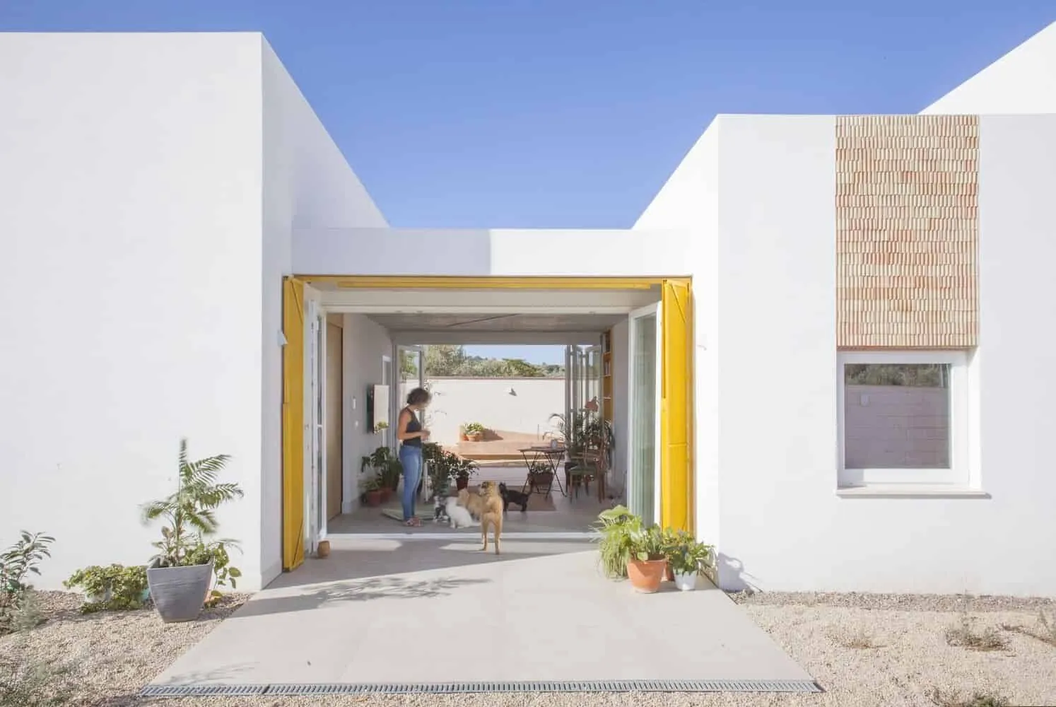 AFAB设计的猫狗家庭住宅，位于西班牙巴塞罗那