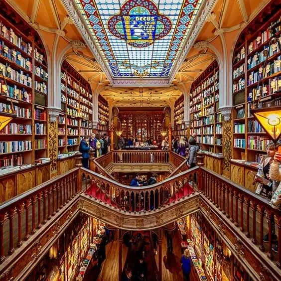 探索5个最迷人的世界书店，激发想象力