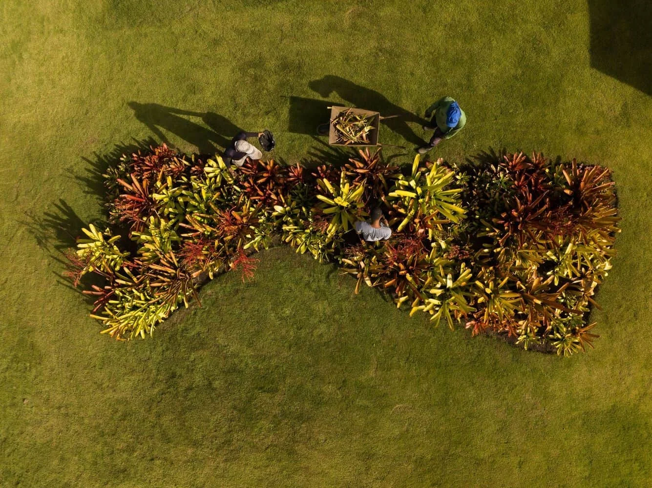 01 TVN House by Saraiva e Associados: A Tropical Forest Hideaway in Brazil’s Itacaré