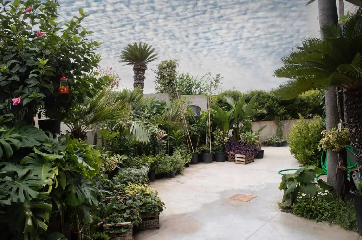 Lépore & Salvini设计的米尔多尔之家：马尔-德-普拉塔悬崖上的全景建筑