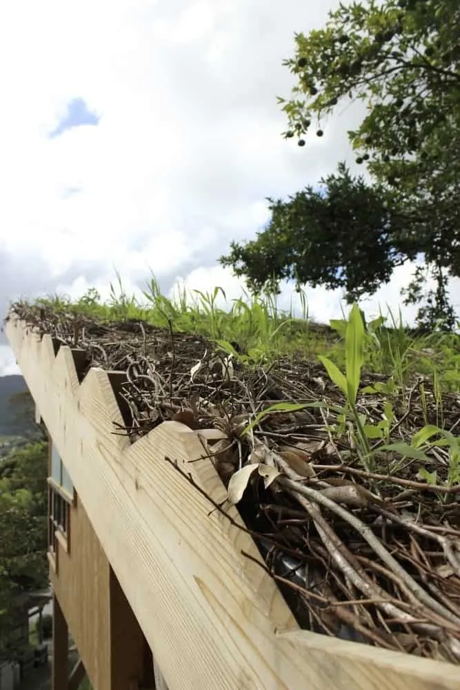Small TEKITEKI-AN House from 6lines Studio: Sustainable 9m² Retreat in Satoyama, Japan