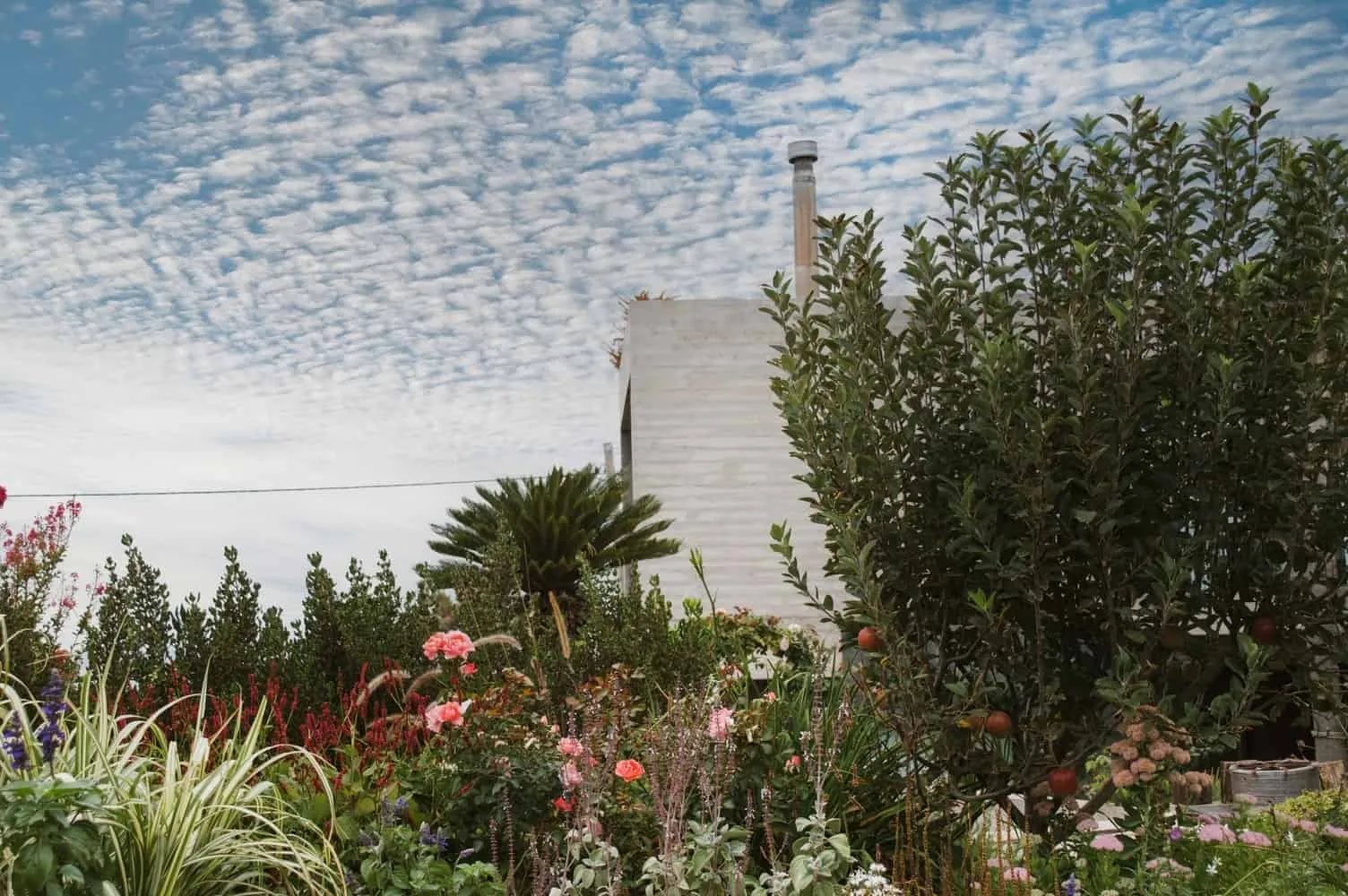 Lépore & Salvini设计的米尔多尔之家：马尔-德-普拉塔悬崖上的全景建筑