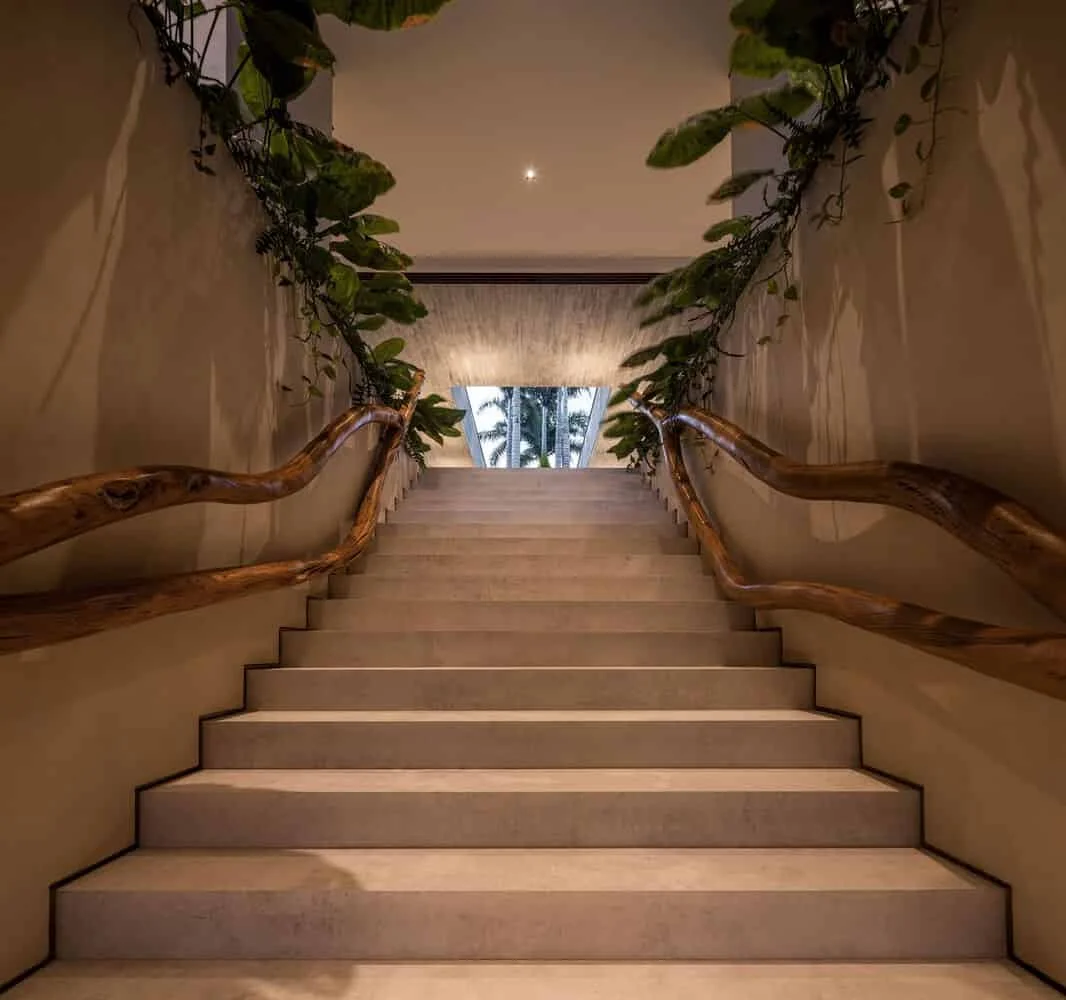 01 TVN House by Saraiva e Associados: A Tropical Forest Hideaway in Brazil’s Itacaré