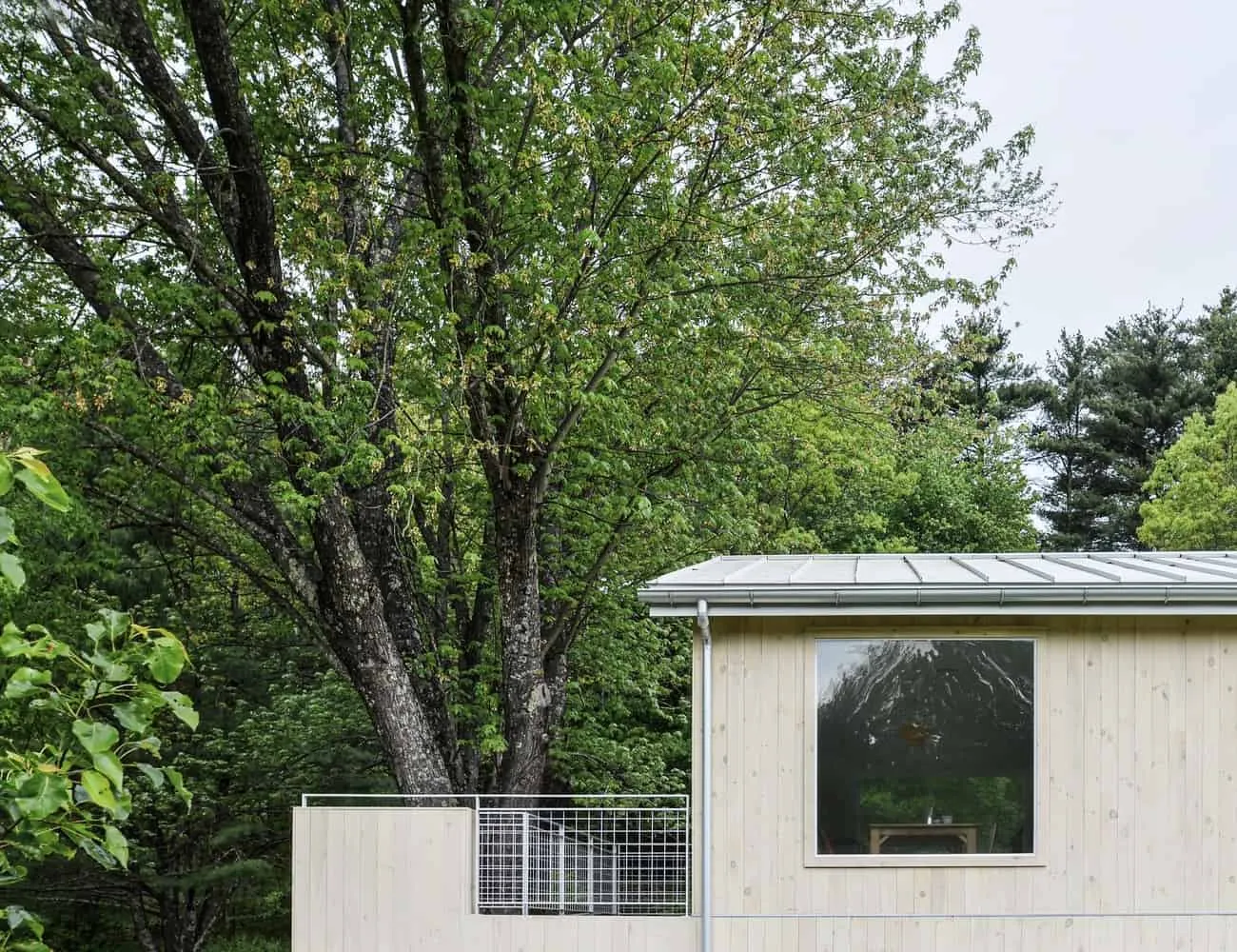 House on Pine Lane by Balman Khapalova: Renovation of a Ranch Connecting Interior and Exterior Spaces