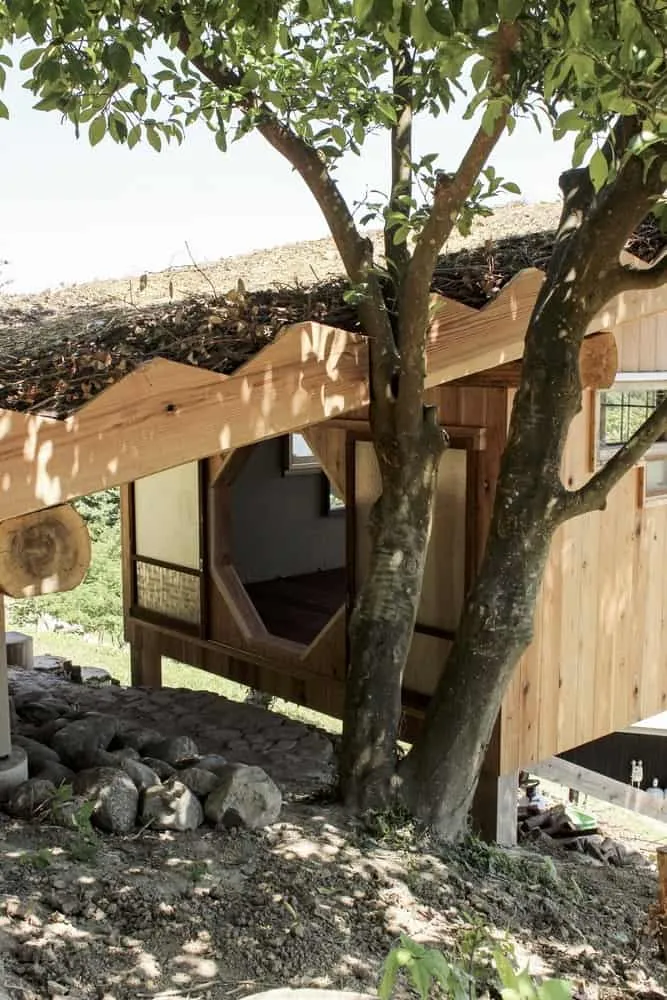 Small TEKITEKI-AN House from 6lines Studio: Sustainable 9m² Retreat in Satoyama, Japan