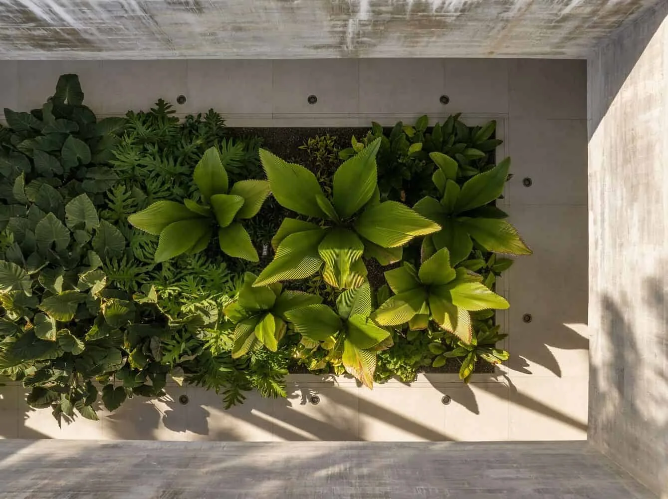 01 TVN House by Saraiva e Associados: A Tropical Forest Hideaway in Brazil’s Itacaré