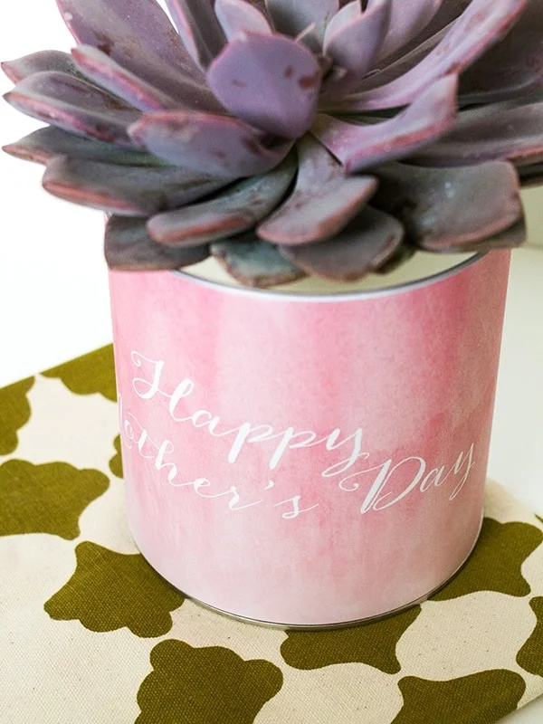 10. Maceta regalo para el día de la madre