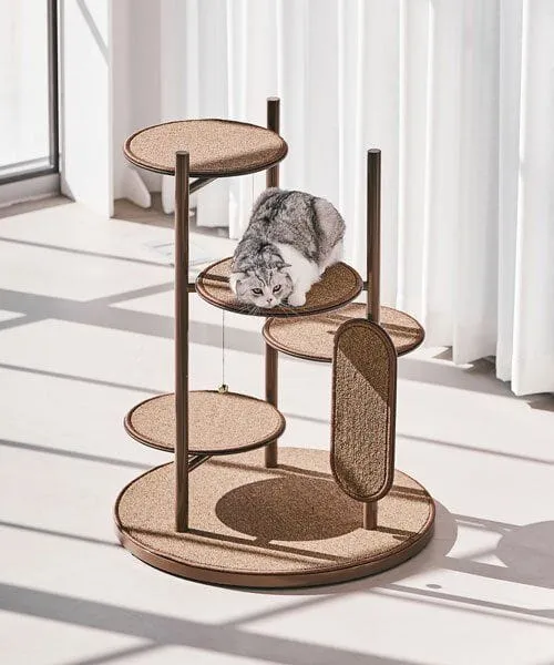 Modern Collection of Pet Furniture for Happy Living