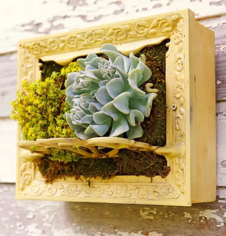 4. Crea un jardín vertical